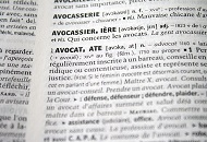 Avocati in sectorul 5 al Capitalei